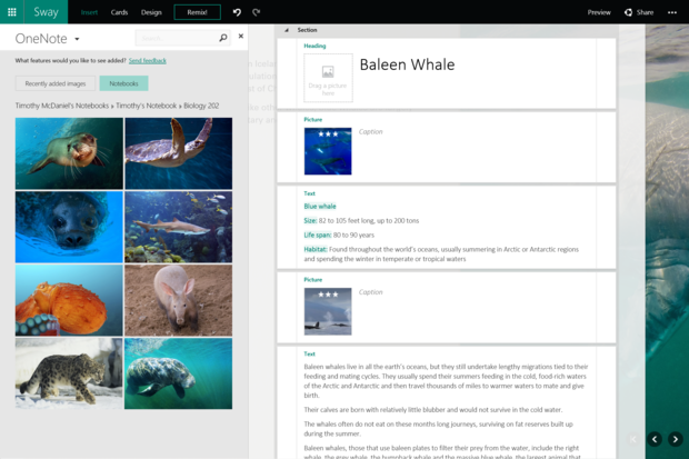 You can now embed OneNote